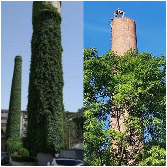 1704104973151848.jpg 81.jpg